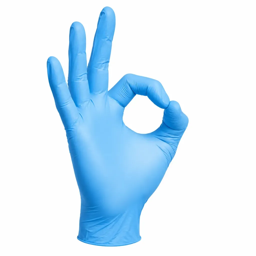 Blue Vinyl Gloves - Powder Free (Small, 100)