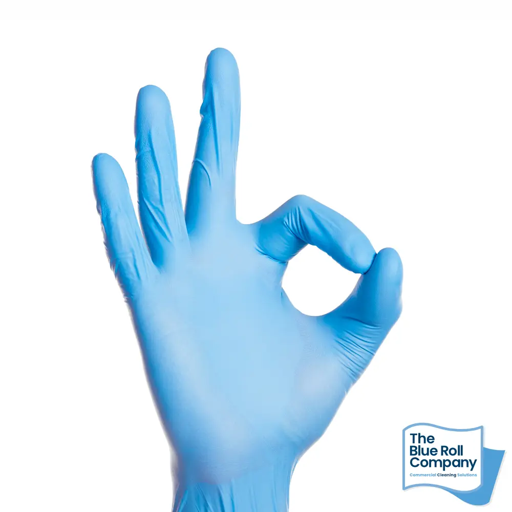 Blue Vinyl Gloves - Powder Free (Small)